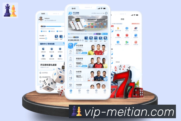 App Interface Preview